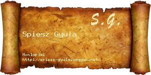 Spiesz Gyula névjegykártya